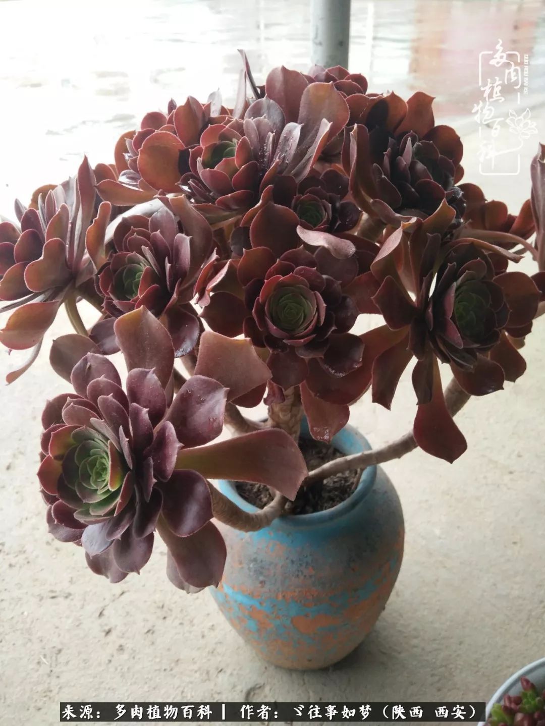 愿你付出甘之如饴，愿你所得归于欢喜！