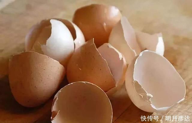 养了多年花,才知道鸡蛋壳这么处理,不生虫、肥效足,养啥啥旺