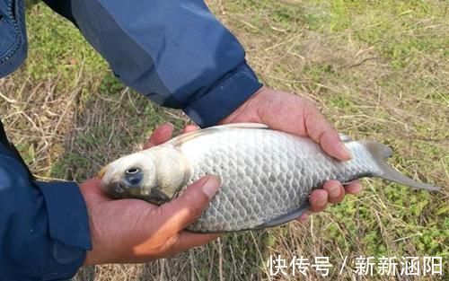 冬钓别急着下竿,找准位置再打窝,这些地方有鱼群,遇上别放过!