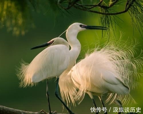 力量|老子:有一种强大的力量,隐藏在人的柔弱中