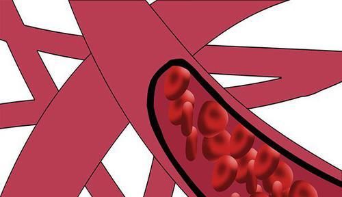  血液|心脏好不好，看3个地方能知道，如果没有异常，心脏还算健康