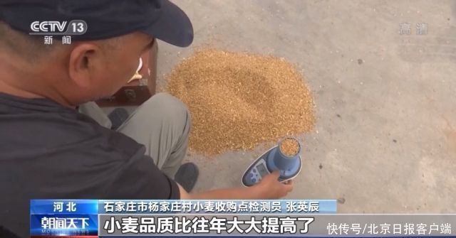 我国夏粮产量再创历史新高:小麦品质优化