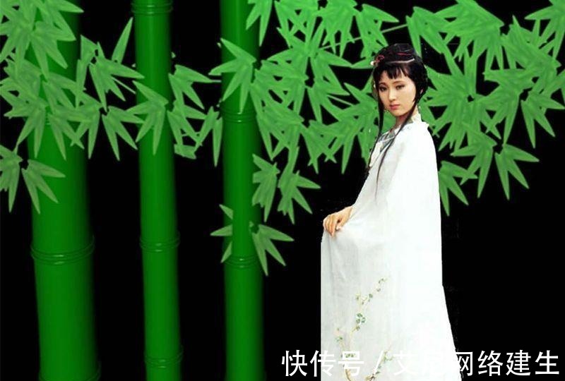 王夫人|黛玉和宝玉, 还有宝钗, 都是用心良苦的主儿