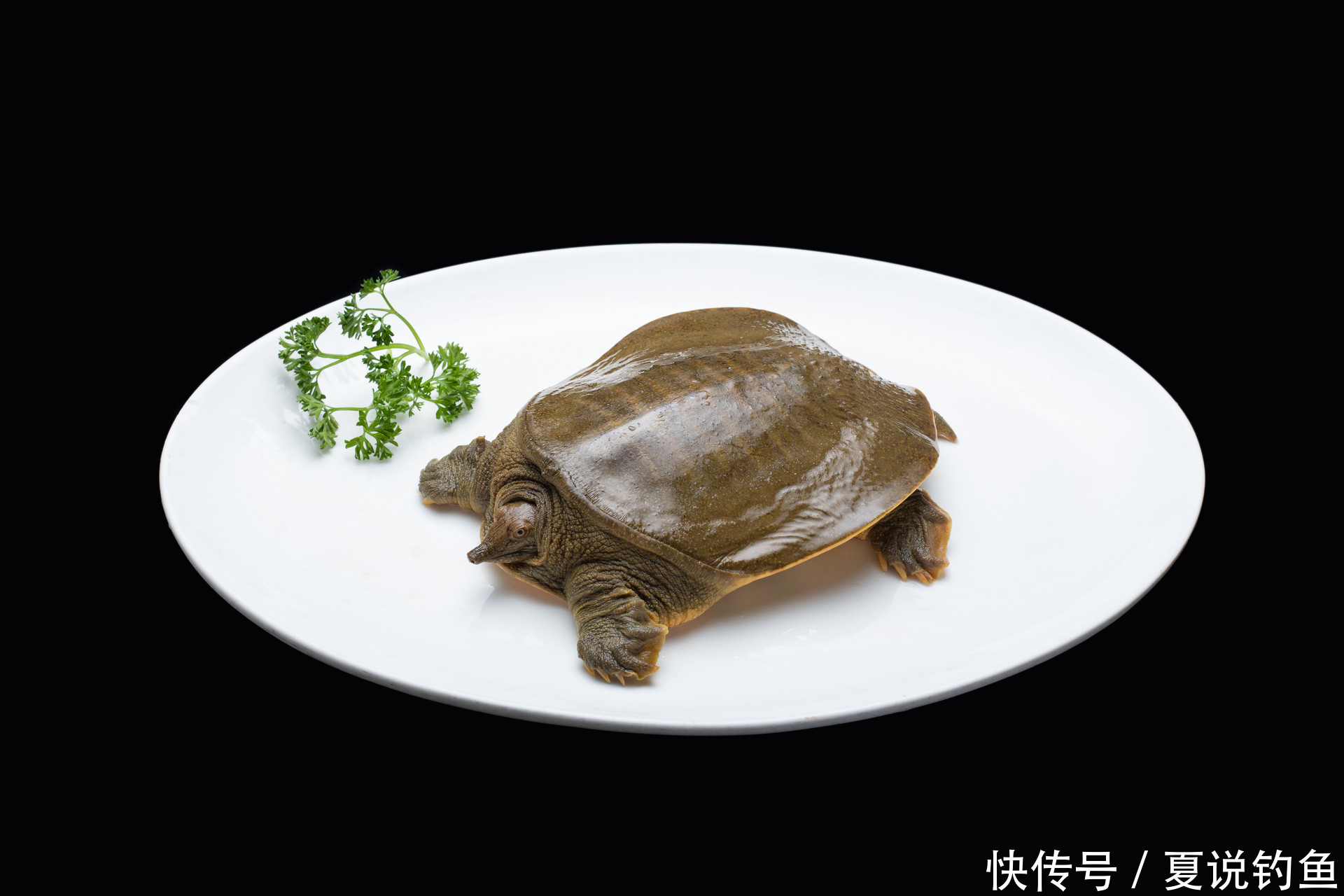 钓鱼不易,养活鱼更不易,记住8个要点基本没问题