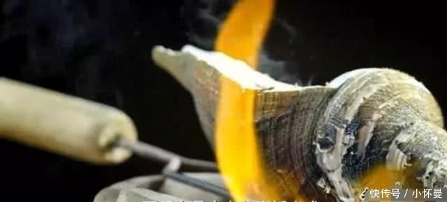 潮汕地区|在潮汕,鲍鱼龙虾都比不上它,它才是“王者”每隔五年才能吃到它