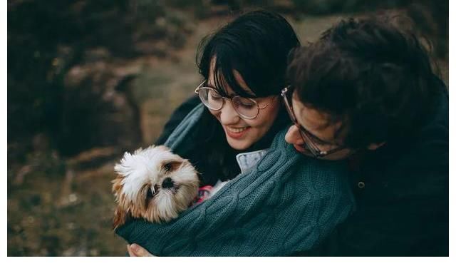 《機智的戀愛》：快來圍觀！這倆女孩好手段，逼得男人為愛癡狂