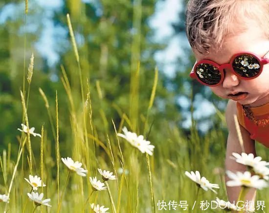 近视率|近视不是病，加深起来要人命！德国近视率低于15%，是怎么做到的