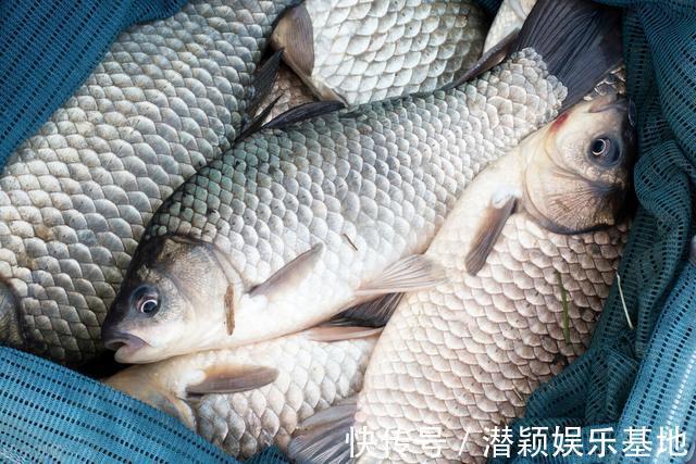 鲫鱼|一套冬季钓鲫鱼的黄金公式,适用任何自然水域,从选点标准到垂钓