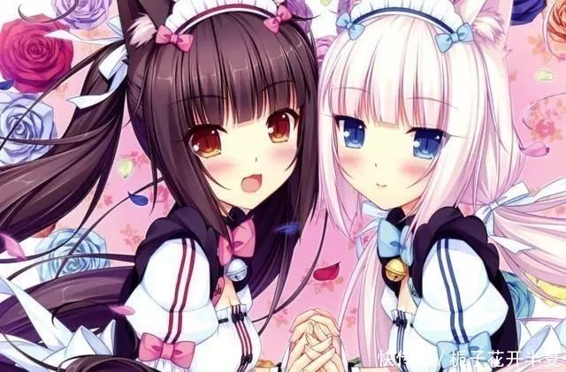 重男轻女|日本动漫为什么“重男轻女”原来全是被逼的