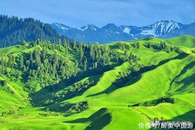 风光旖旎|每逢夏季，那拉提景区风光旖旎，峡谷幽深，绿草如茵，苍翠欲滴