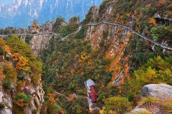 别错过周末好天气，来大明山邂逅一场秋日红叶吧！|登山赏秋 | 大明山景区