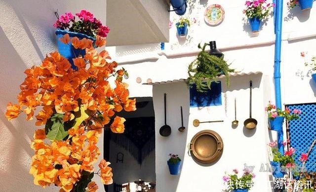 不一样的“庭院花园”，花草都上了墙