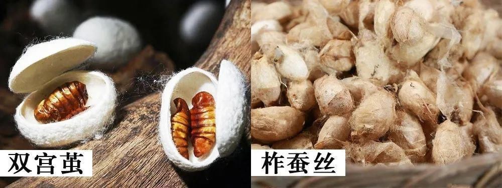  桐乡|“棉花被“蚕丝被”哪个好？当初不懂，后悔我家买错