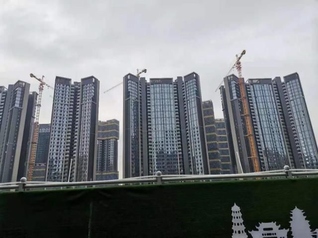 楼市|在大湾区，这是我看到的最为“混乱”的楼市