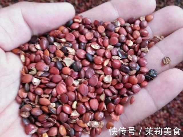 生地黄|晚上总是失眠怎么办？它加白开水泡着喝，一觉睡到天亮！