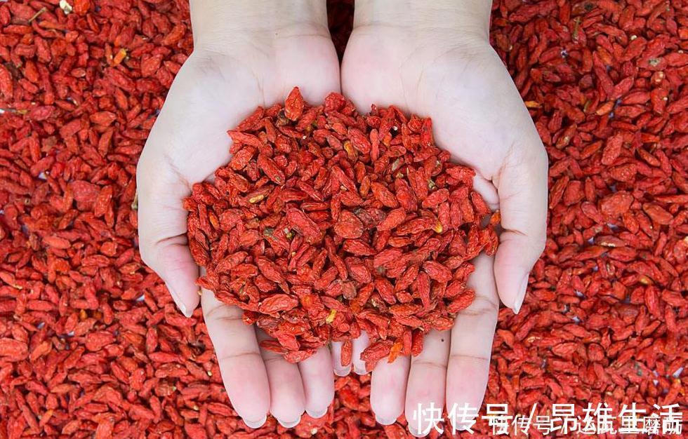 失眠|每晚睡觉之前嚼几颗枸杞，能缓解失眠带来的困扰，不妨试试看