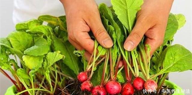 阳台种盆“小萝卜”,一口吃一个,一周种一盆,一吃300天!