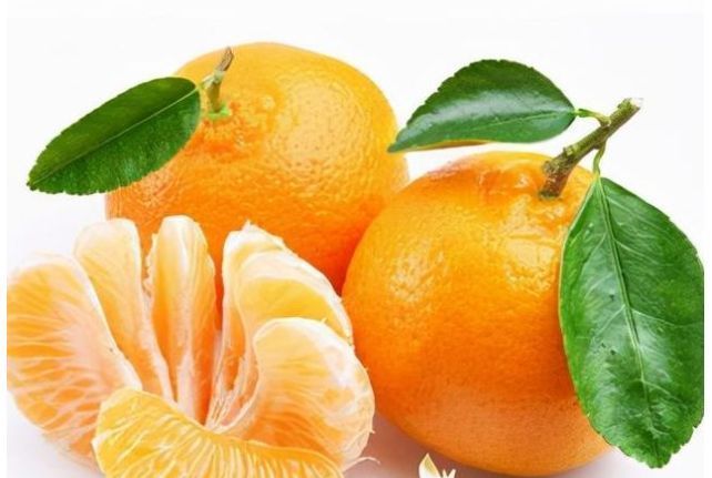 香瓜茄|马上过年了大鱼大肉吃起来,提前准备3种兴隆果,寓意吉祥如意