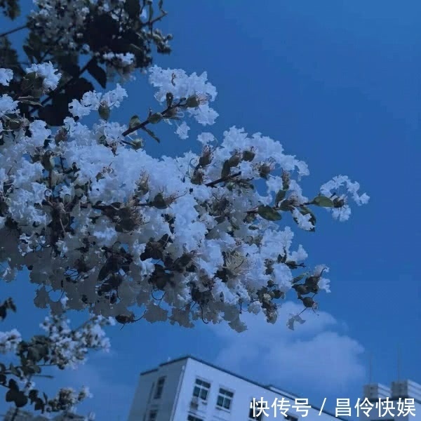 神仙·朋友圈背景图丨天暗下来 你就是光