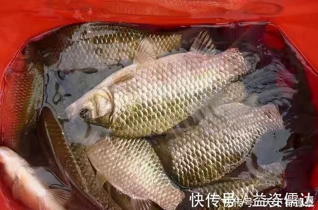 黑坑|黑坑老板有这几种行为以后别再去，妥妥的坑你没商量