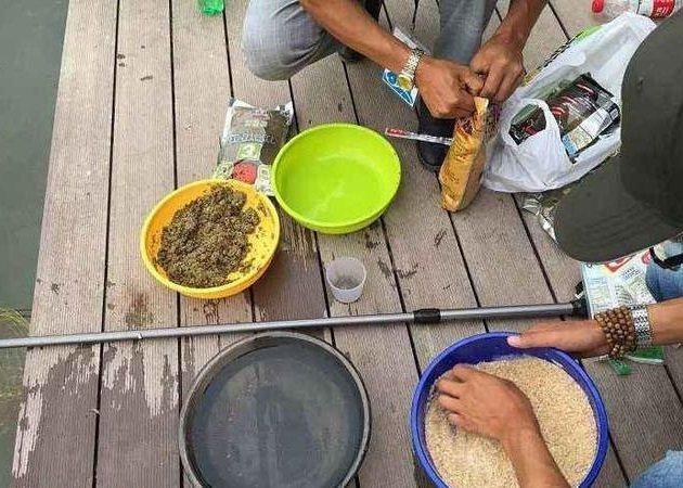 野钓|野钓用饵是单开还是混合开这下终于明白了,难怪别人老爆护!