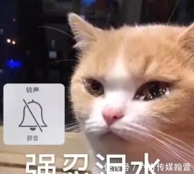 不洗脸真的能让皮肤变好吗？