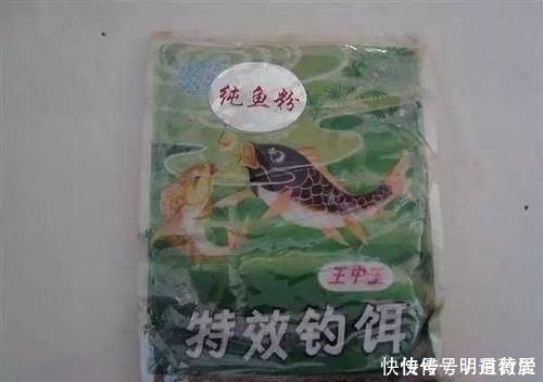 这条31斤的鲤鱼，他用的是什么饵料钓上来的