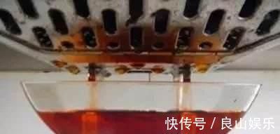 什么淘米水、啤酒水,都不如1勺溶液,家家都有,养啥旺啥