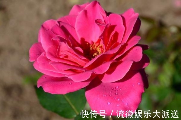高情商聊天语速,高情商聊天语速:掌握沟通技巧,轻松拉近人际关系