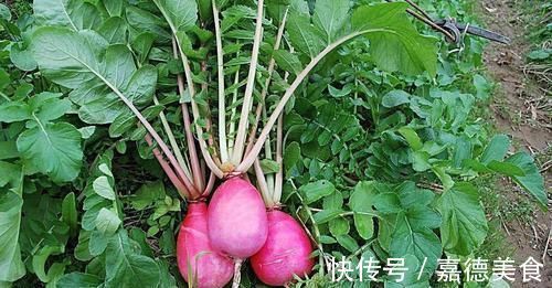 子宫|女性月经量少?坚持每天吃6种食物,或能疏通经血,子宫更健康