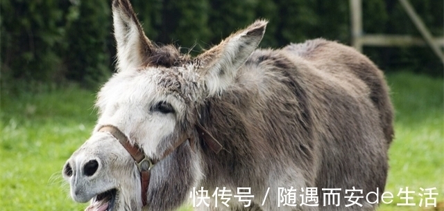 22个冷知识:为什么刚想入睡,就会产生尿意