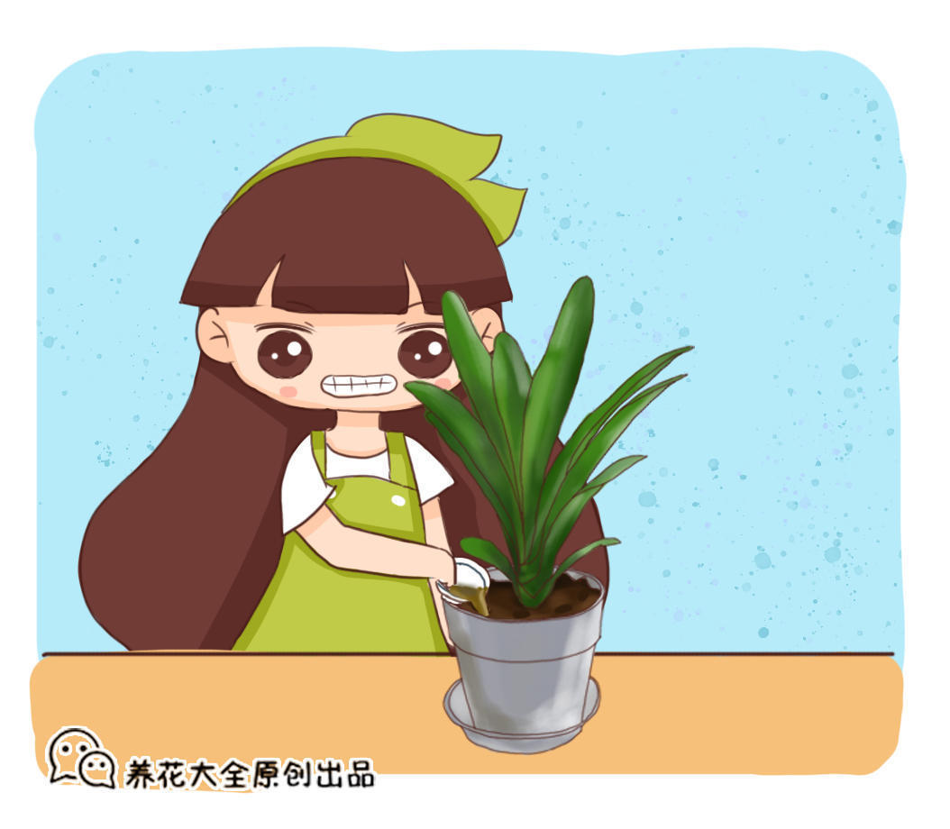 植物慢吞吞不开花盆里倒“1种油”，15天就搞定
