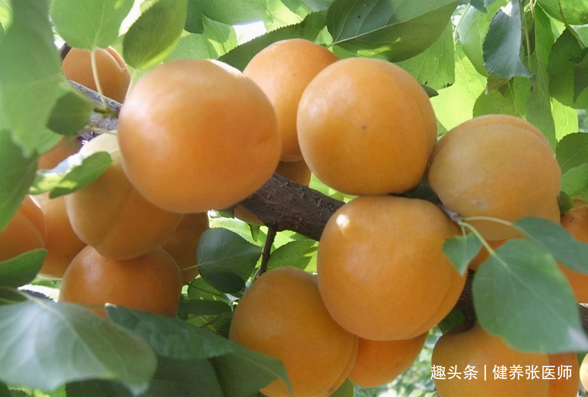 延缓衰老|女性不想老太快,多吃3种食物,补血润肤,延缓衰老,滋补身体