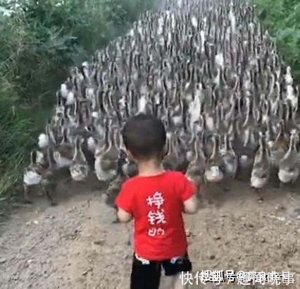 孩子|夫妻两人出国,将孩子给乡下奶奶带,看到奶奶发来的照片夫妻笑了