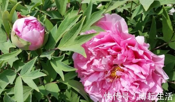 征兆|“人不成器,必有征兆”,人到40岁还喜欢做4件事,难有大出息