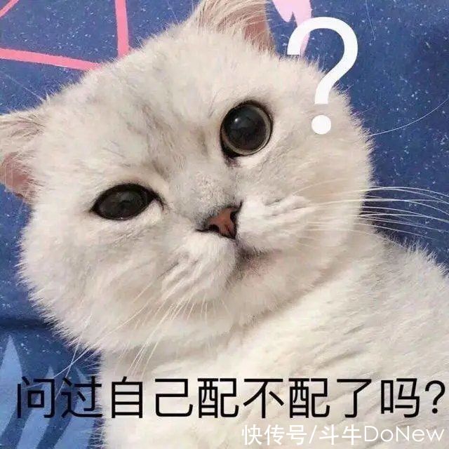 突袭|travis scott 手撕300万 bot！倒钩中签不再难了？