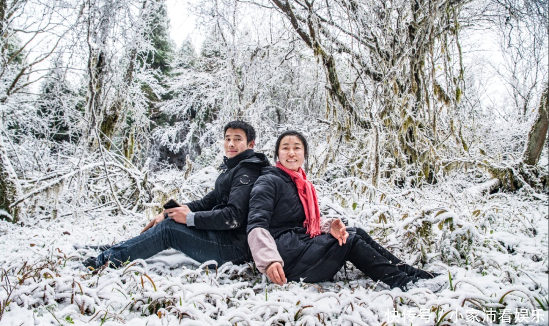 重庆主城|下雪了！雪玉山今冬第一场雪已“到货”，美景刷爆朋友圈！