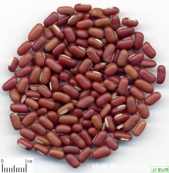 红豆|红豆奶油雪糕,为了家人的健康,还是自己做吧