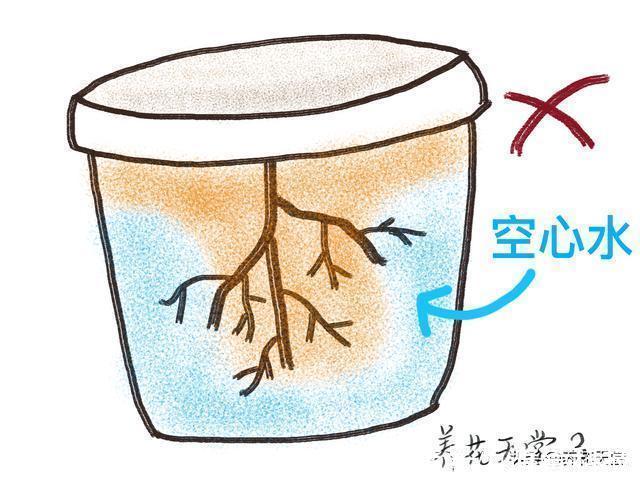 新手|7种常见的浇水方式，不仅新手不懂，有些人养花10年都没搞清楚