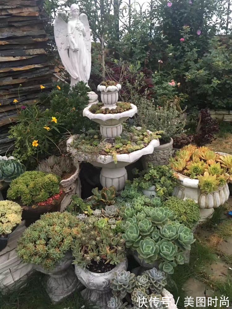 花草|历时一年,在31楼打造300㎡“屋顶花园”,如今美成了仙境