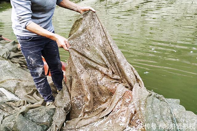 违法垂钓严打,这些“伪钓鱼人”要遭殃了