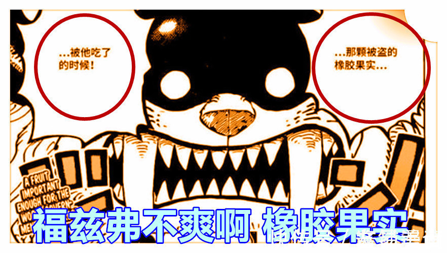 恶魔果实|海贼王,福兹弗曾被贝克曼和拉奇鲁吊打,橡胶果实是香克斯的计划