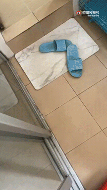 |搞笑图集:一个宿舍42个学生,网友:养猪都不敢这么养啊