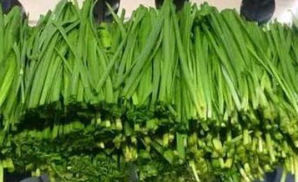 食物|女性不想老太快,不妨多吃3种食物,营养丰富、滋补身体