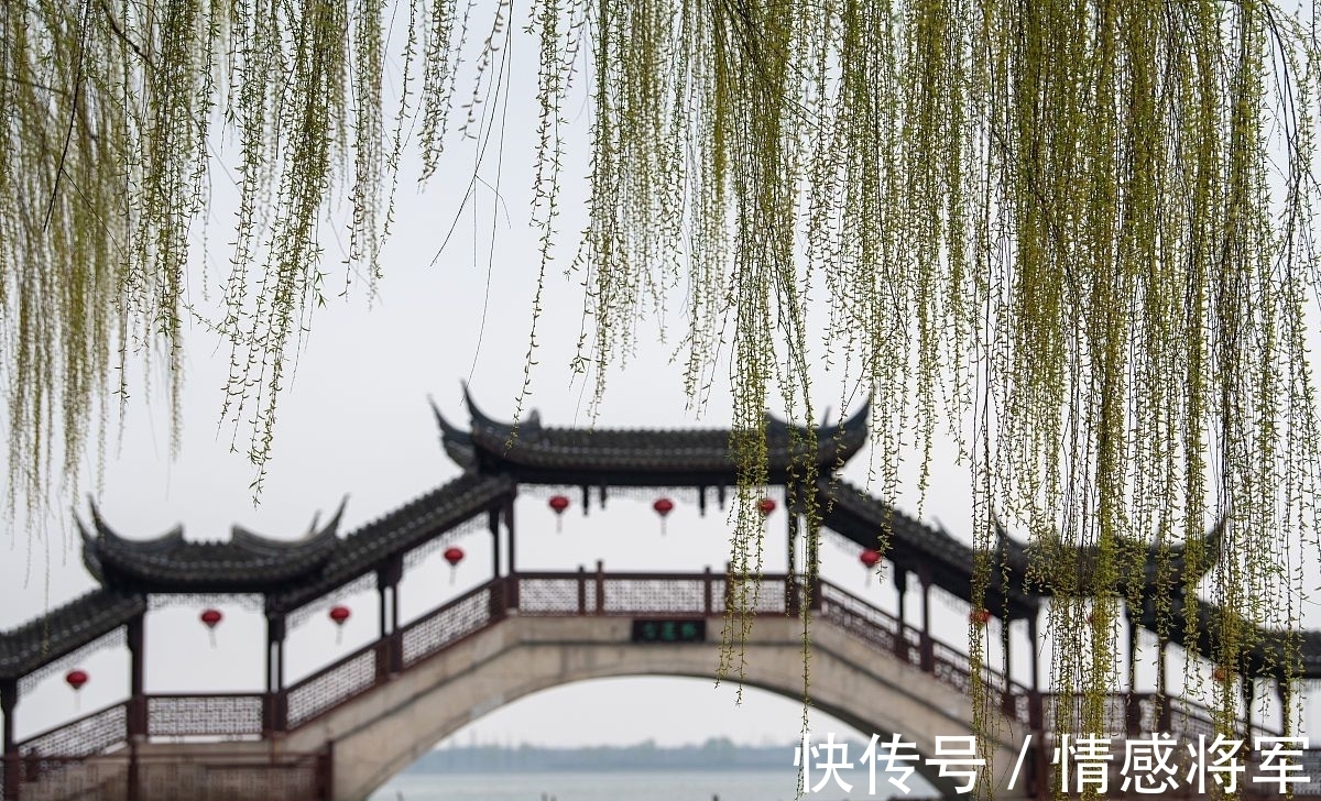 柳树!唐朝折杨柳古诗五首:莫言短枝条,中有长相思