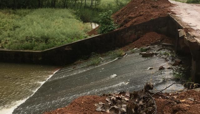 没有水草就不能钓鱼了吗根据这4点来找鱼,下竿之处即咬钩