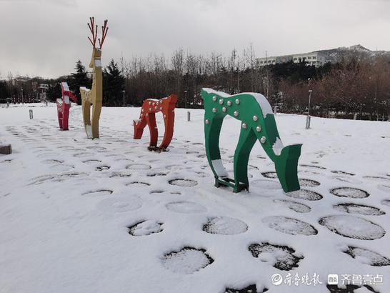 老年|蓝天白云，白雪皑皑，烟台“牛”年初雪美如画