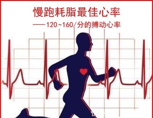 脂肪|慢跑一小时出了汗,就能减掉体重了?