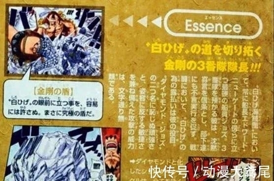 砖石|海贼王：误会最深的果实，尾田重新公布信息！乔兹背锅20年