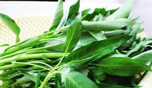 立春后，女性多吃以下食物，滋补身体，排出体内堆积毒素，试试看